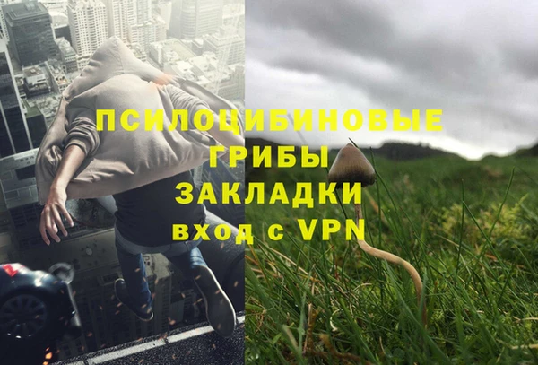 каннабис Ельня