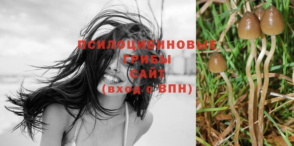 мяу мяу кристалл Дмитриев