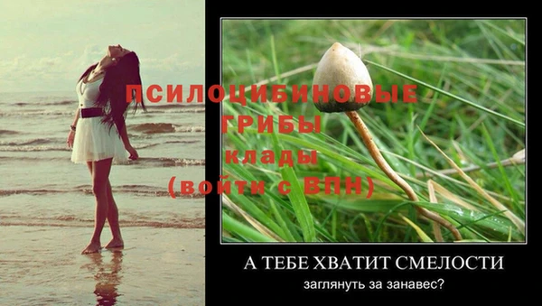 mix Елизово